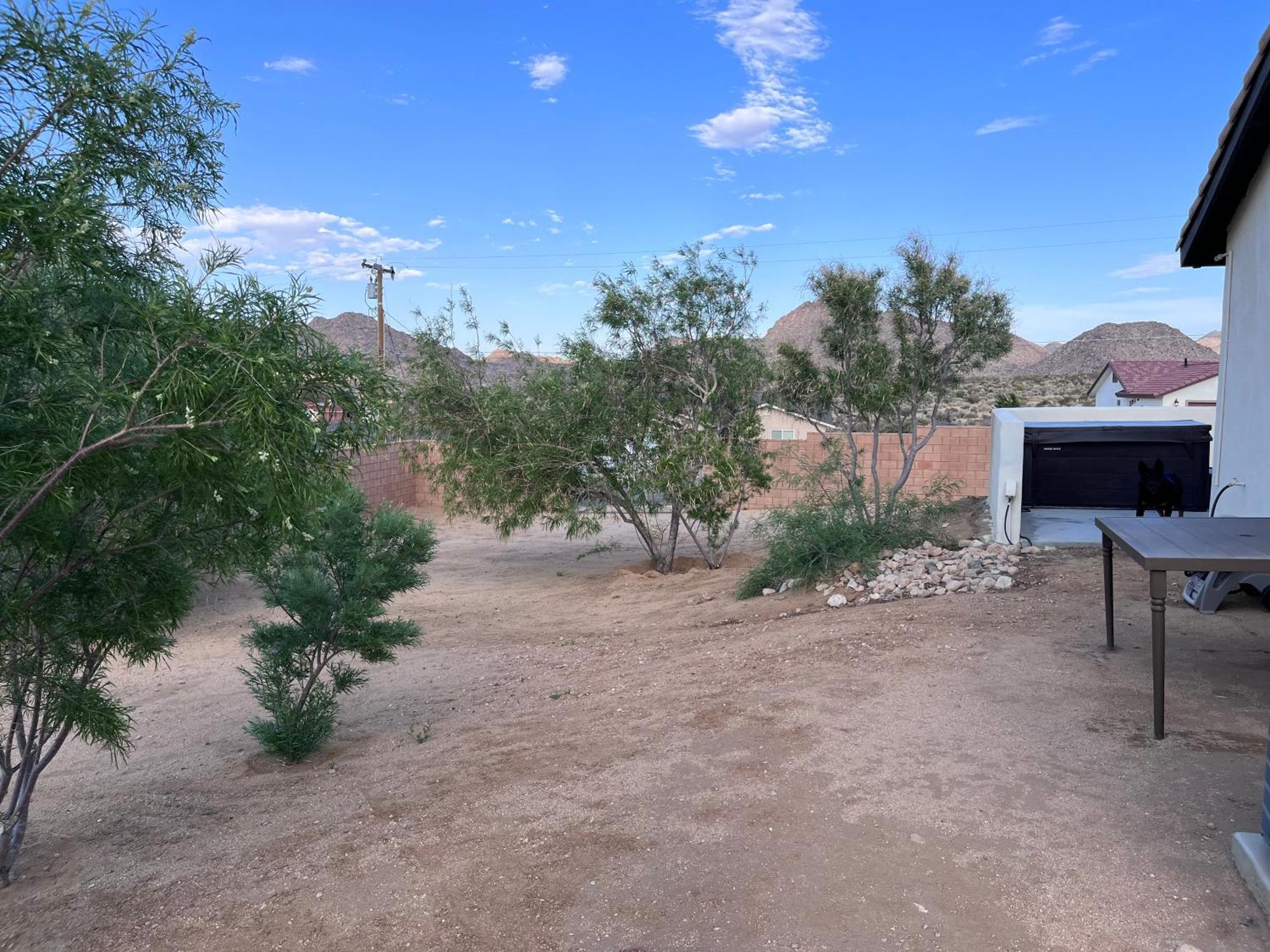Vila The Joshua Tree House Exteriér fotografie